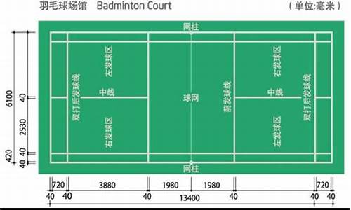 羽毛球场地尺寸标准尺寸图单打_羽毛球场地尺寸 标准