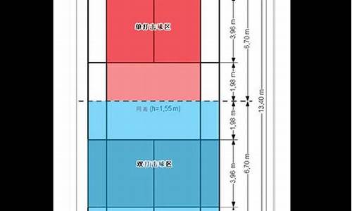 羽毛球单打发球界限图示_羽毛球单打发球界限图示图解