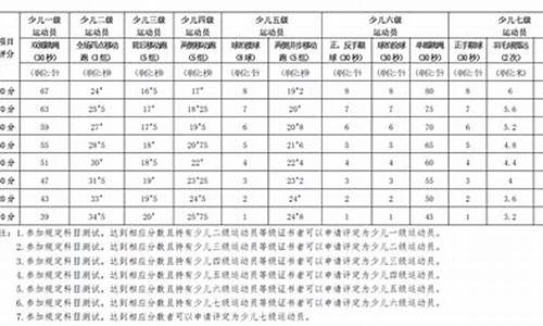 羽毛球技术等级评分_羽毛球技术等级评定标准