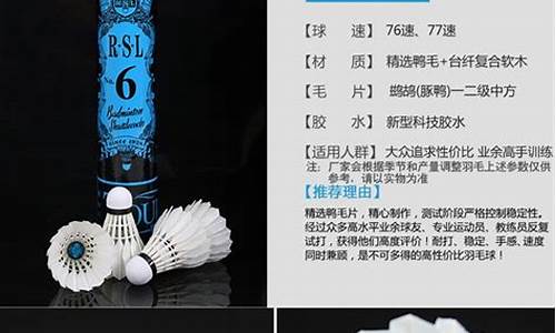 亚狮龙6号羽毛球价格一个多少钱_亚狮龙6号羽毛球价格一个