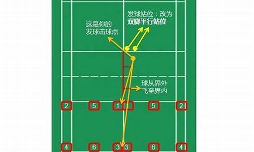 羽毛球线的型号区别图_羽毛球线有哪几种